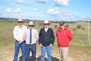 Bulls sell to four states and NT in strong Rosedale on-property sale