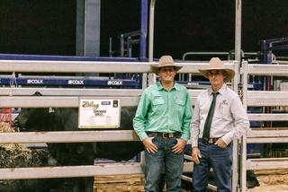 Brangus ladies lift $1700 at BLING sale as elite lineage produces top seller