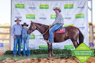 Northern performance horse sale equals 2025 top as quality bloodlines dominate