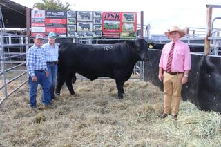 Polled Simbrah herd bull matches a registered Angus on price at Ag-Grow