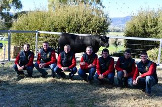 The birthweight and EMA data that drove a record price at Farrer Angus sale