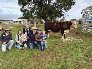 Hillview Hereford and Tyler Angus add value to repeat stud and commercial clients