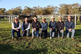 Consistency in Wrigley Cattle Co Angus Bull Sale draft reflected in average
