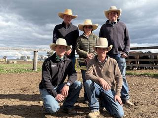 Repeat buyers chase carcase traits at Glenwarrah, Brooskby annual bull sale