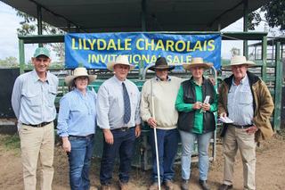 Top and average beat best year at 2026 Lilydale Charolais bull sale