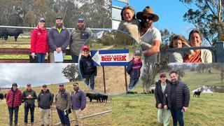 'Confidence, passion' for buyers as studs celebrate Southern Beef Week