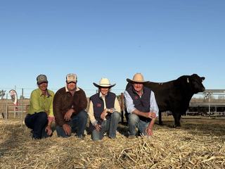 Texas Angus clears 300-plus bulls in milestone 90th year