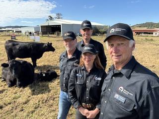 Brooklana heifer smashes Australasian record at auction