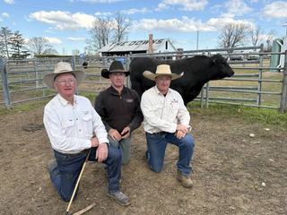 Repeat clients seeking 'doing-ability' push Sara Park Angus to top price thrice