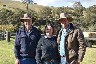 'Good doers': hill country genetics impress buyers at 10th Sugarloaf Angus sale