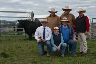 Efficiency focus pays off at Glenavon Angus sale with bulls to three states