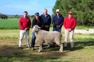 'Industry turn around' sparks big lift in average at Minta ram sale