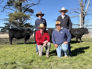Eastern Plains Angus bulls achieve double-top amid local support despite season