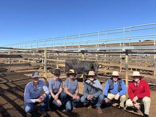 Why a $28,000 heifer was the top buy at the National Wagyu sale at Roma