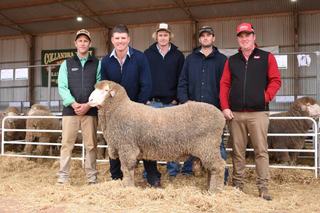 Top hits $20,000 at Collandra North, full clearance and strong average