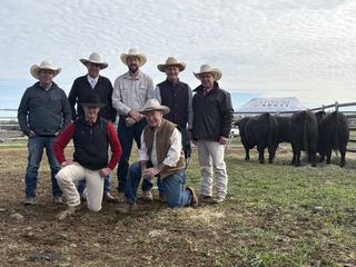So Right outcome as Tivoli Angus auction exceeds expectations at Merriwa