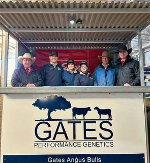 Buyers chase heifer bulls with high-growth at Gates Performance Genetics