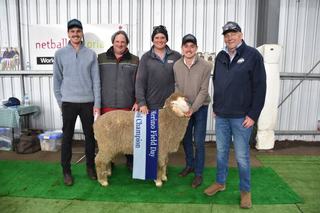 Optimism after late winter rain leads to solid prices at multi-vendor ram sale