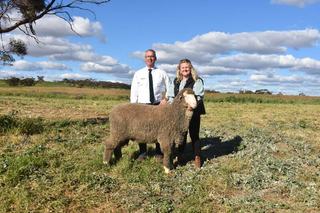 Bidding from four states helps underpin outstanding result at Kamora Park