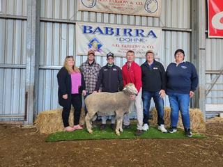 Stronger demand lifts Babirra Dohne ram sale clearance and average