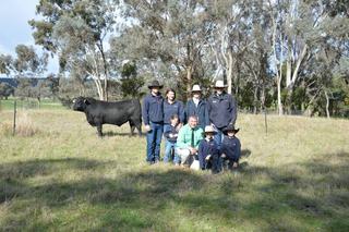 Hobbs high-performance genetics secure top dollar from repeat buyer