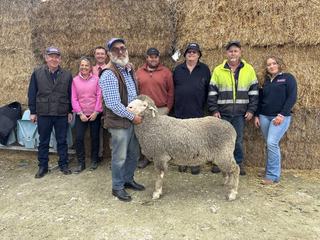 Big announcement for Ramsgate Poll Merino stud after 'best ever' result