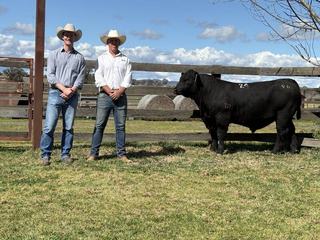 Winning genetic combination has 3R Angus break stud record with $70,000 top