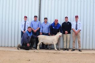 Top Kattata Well ram bound for new stud in WA