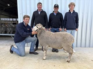 Large crowd pushes Kiandra Poll Merino sale to new heights