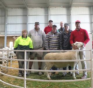 Uralba White Suffolks sets new on-property ram record at annual sale