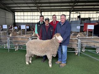 Kedleston Park's top progeny headed to Gippsland operation on stud duties