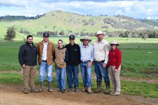 Network sons highly sought after in full clearance at KO Angus bull sale