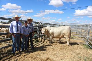 How a focus on Queensland conditions is seeing buyers return year after year