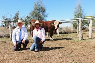 Top bull at 2026 Talbalba Herefords sale goes to previous record breakers