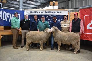 Carunna Vale open the gates on first annual on-property sale at Jamestown