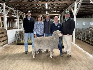 Bindawarra Merino stud doubles sale average in strong Gippsland auction