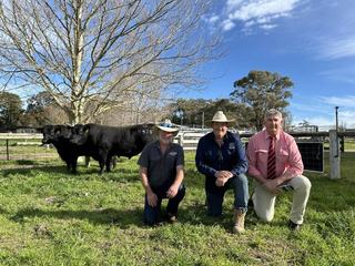 Full brothers to record breaker turn heads at Granite Ridge spring sale