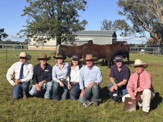 Interstate buyers drive fierce competition on Shorthorns, Charolais at Futurity sale