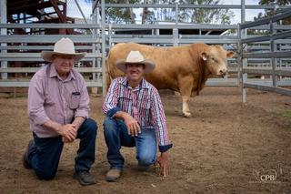 An 18 per cent increase on last year's gross marks 2026 Eidsvold Charolais sale