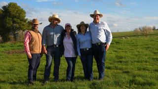 Record return for Springwaters Angus as Victorian buyers make themselves known