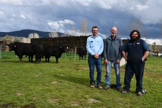 No bulls left behind as Hicks Beef welcomes healthy competition at spring sale