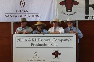 Volume buyers dominate as Nioa RL Pastoral bull sale grosses $573,000