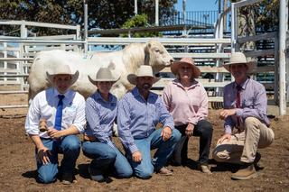 Hopgood's 'all-rounder' Charolais bull fetches $30k in solid Clermont sale