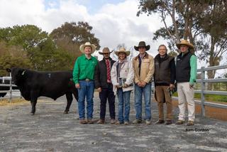 Top price paid for Angus bull with 'perfect' feet and legs at Moorunga
