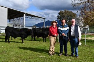 Return customers bolster bull sale as The Glen Angus looks to a change of pace