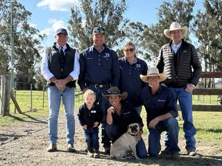 South Australian buyers snap up top-priced bull at Ben Nevis anuual sale