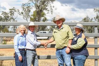 Moongana Santa Gertrudis sale tops at $40,000 in triumphant return to Drillham