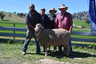 Double-header ram sale works a treat for Lach River after Glenfinnan purchase