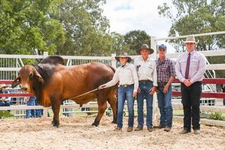 Monto All Breeds saves best for last as vendor tops sale for the first time
