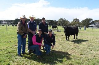 Te Mania's top bull goes for $30,000 in stud's first-ever southern spring sale